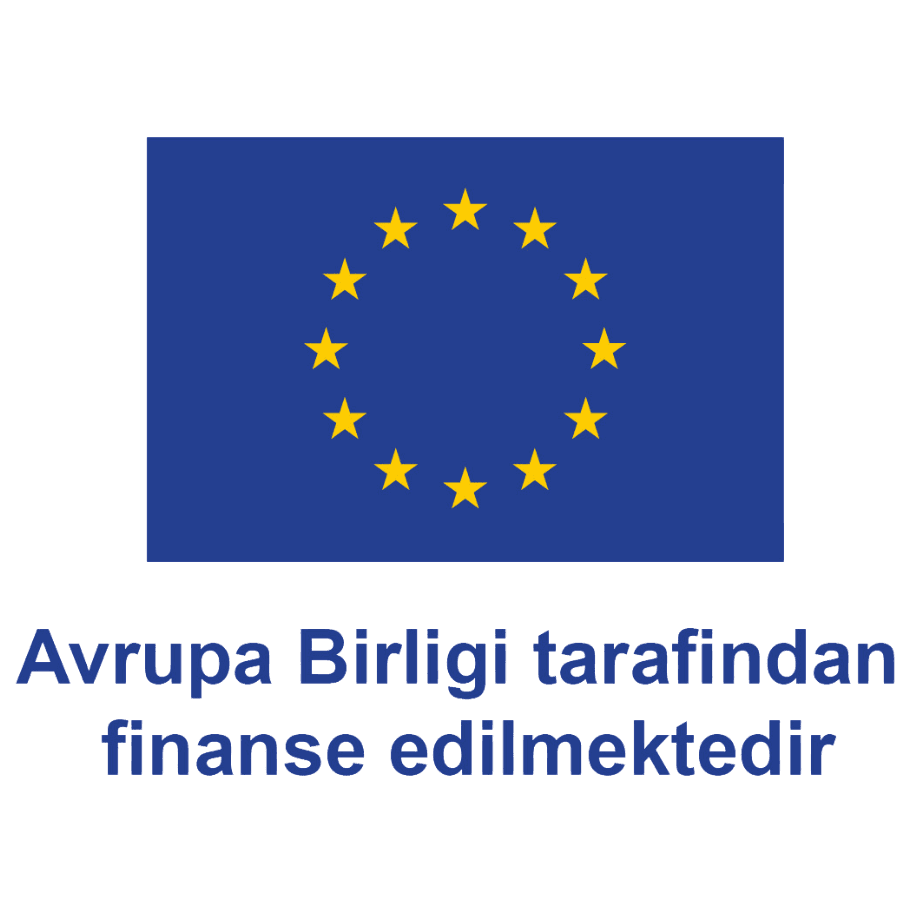 Avrupa Birliği tarafından finanse edilmiştir